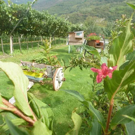 Agritur Maso Fontane Arco